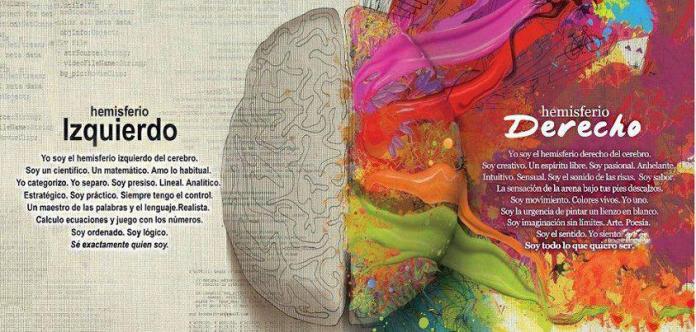 hemisferios-cerebrales-mitos-verdades-L-73rO8F